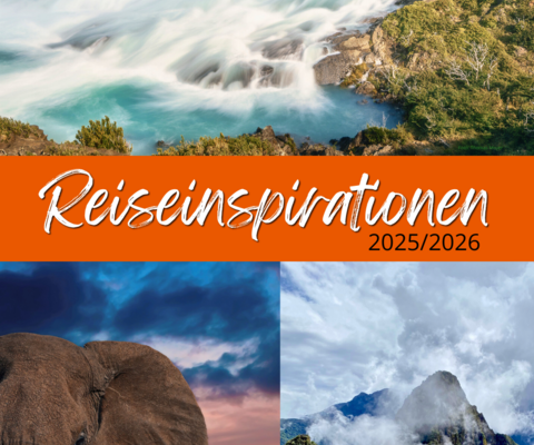 Junikäfer: Reiseinspiration 2025/2026