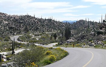 Selbstfahrertour Baja California