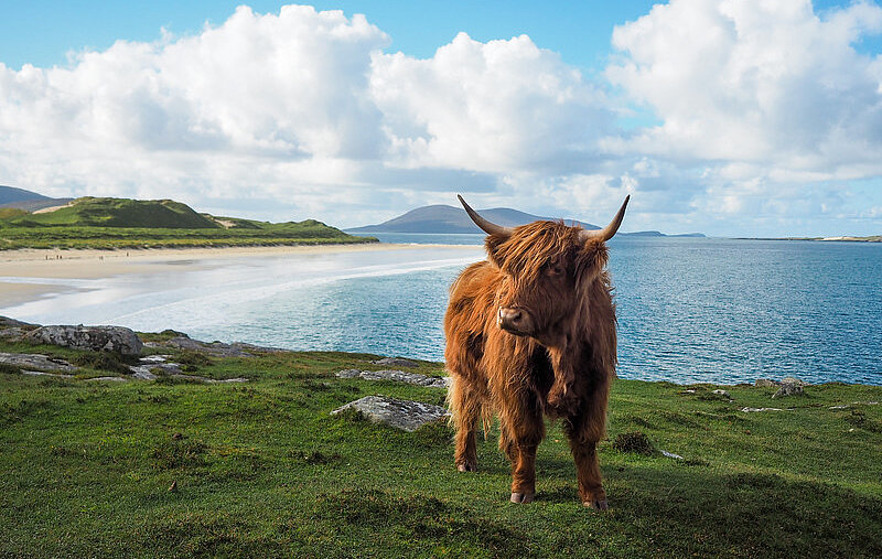Selbstfahrertour Schottland - Highlands und Küste