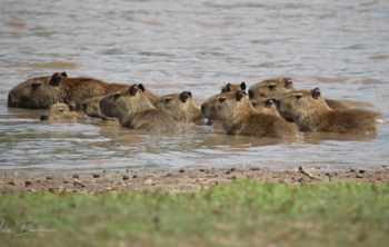 Kleingruppenreise Kolumbien und Nordbrasilien