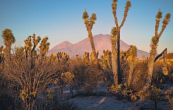Rundreise Baja California und Kupfercanyon