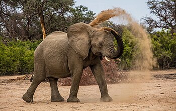 Selbstfahrertour Namibia Platinum