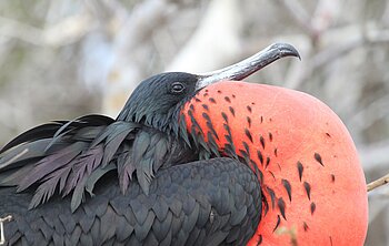 Galápagos mit Zeit erkunden